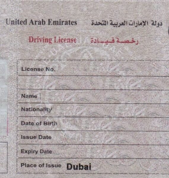 Driving License Translation